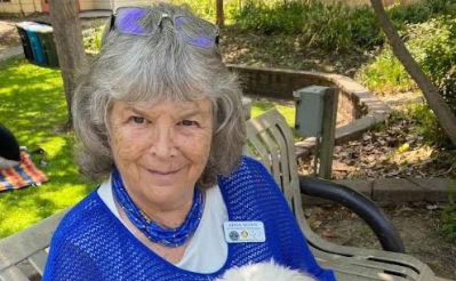 Adda Quinn: The Woman Who Told Larry Ellison to Make His Fortune—and Walked Away 